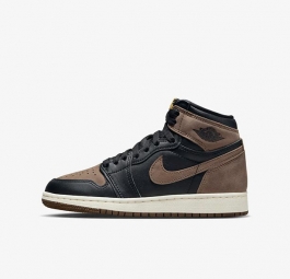 Nike Air Jordan 1 Retro High OG GS “Palomino” FD1437-020