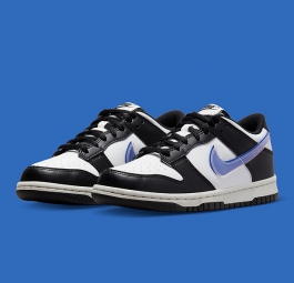 Nike Dunk Low Next Nature GS “TPU Swoosh” FD0689-001