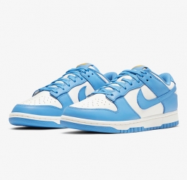 Nike Dunk Low “Coast” (w) DD1503-100