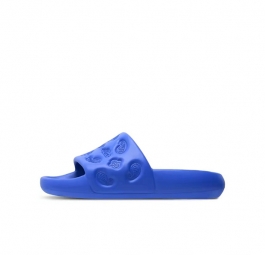 xVessel Slides “Paisley Blue” S23X21B
